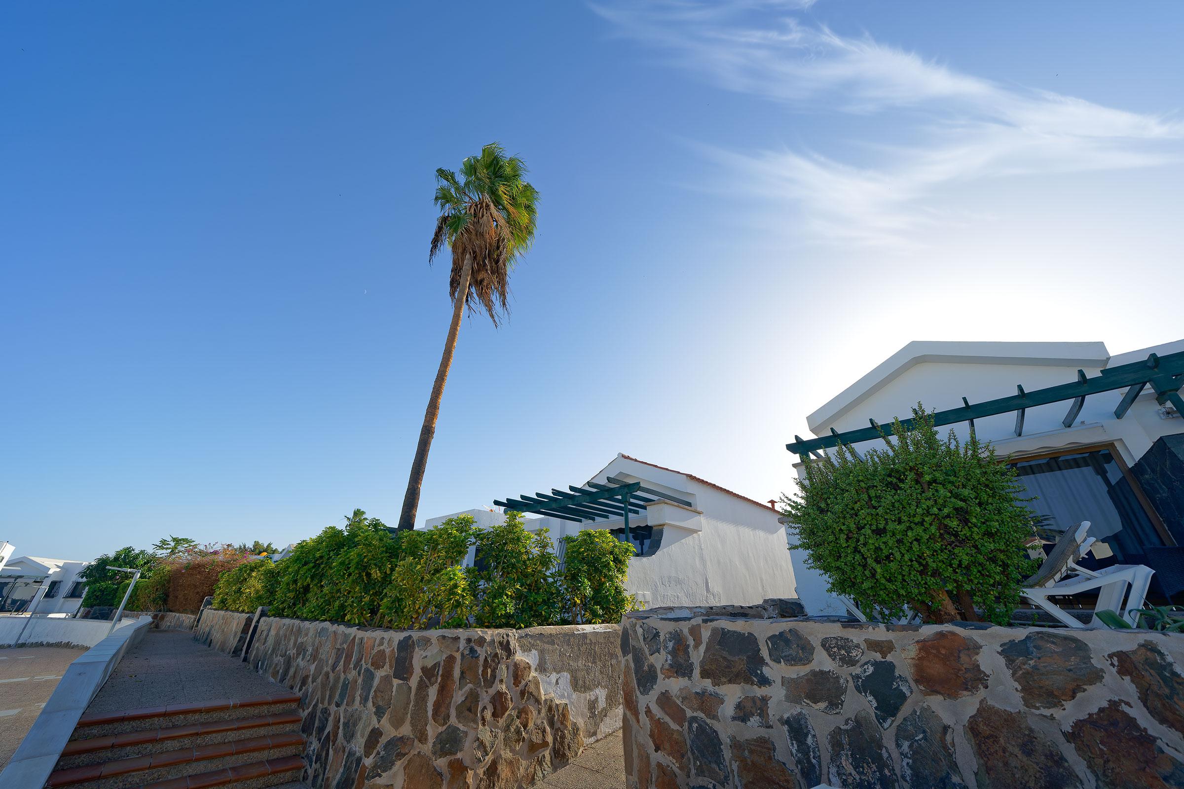 Bungalow Maspalomas Lago Εξωτερικό φωτογραφία