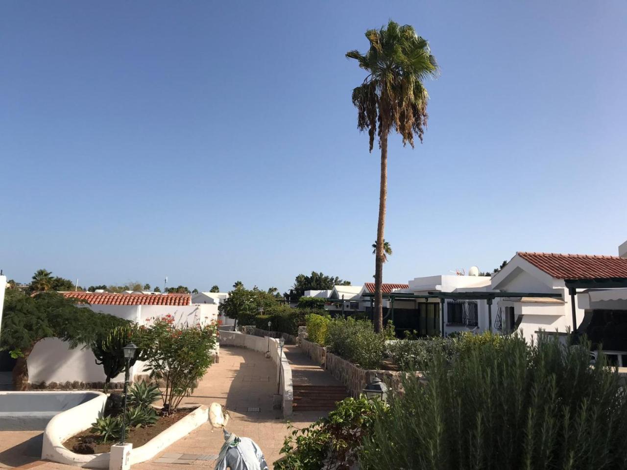 Bungalow Maspalomas Lago Εξωτερικό φωτογραφία